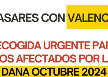 Casares pone en marcha una recogida urgente para Valencia a partir de este lunes