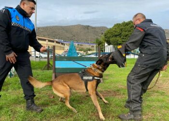Manilva contará con una unidad canina en la Policía Local