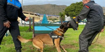 Manilva contará con una unidad canina en la Policía Local