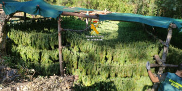 La Guardia Civil desmantela una plantación de marihuana que se ocultaba en el Parque Nacional Sierra de las Nieves de Málaga