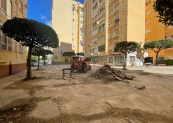 El Ayuntamiento de Estepona inicia los trabajos para la remodelación integral de la plaza Conejera