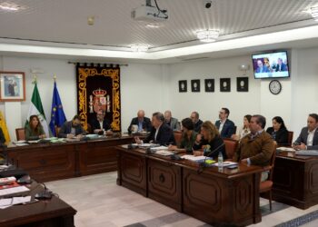 El pleno de Mijas aprueba dos convenios con el Consorcio de Transporte que garantizan el funcionamiento de cinco líneas de autobús