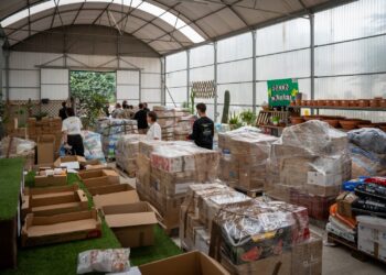 Torremolinos hace llegar a protectoras de animales afectadas por la dana pienso, mantas, productos de limpieza, agua y medicamentos