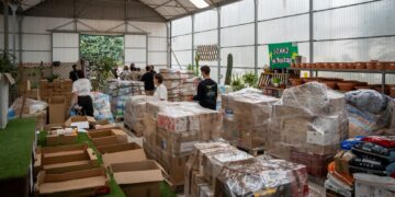 Torremolinos hace llegar a protectoras de animales afectadas por la dana pienso, mantas, productos de limpieza, agua y medicamentos