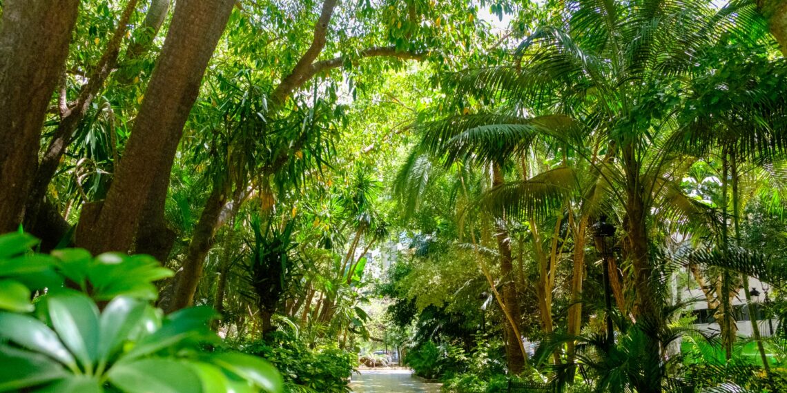 Los Premios Andalucía en Flor 2024 colocan a Marbella como una referencia en la gestión de infraestructuras verdes