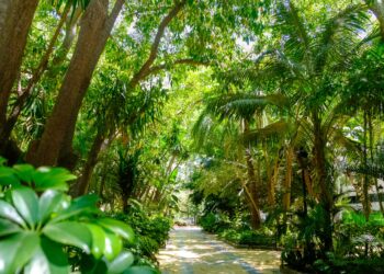 Los Premios Andalucía en Flor 2024 colocan a Marbella como una referencia en la gestión de infraestructuras verdes