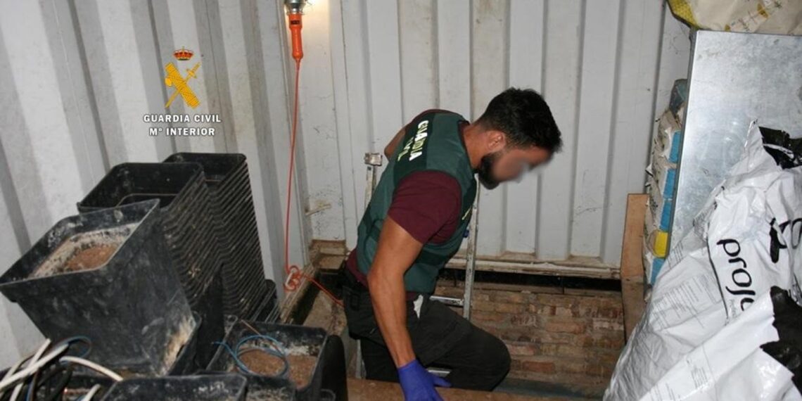 Dos detenidos tras desmantelar dos plantaciones de marihuana en un zulo en Alhaurín de la Torre