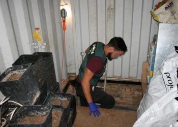 Dos detenidos tras desmantelar dos plantaciones de marihuana en un zulo en Alhaurín de la Torre