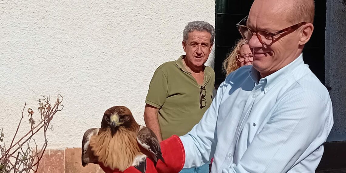 Liberan en los Montes de Málaga a cuatro aves recuperadas en el CREA