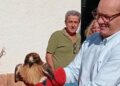 Liberan en los Montes de Málaga a cuatro aves recuperadas en el CREA