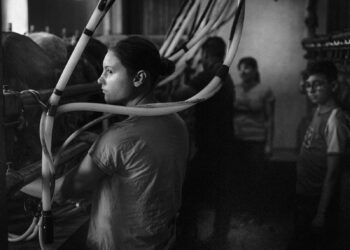 ‘Un ordeño en familia’, ganadora del VI Concurso Fotográfico Medio Rural y Pesquero en Andalucía