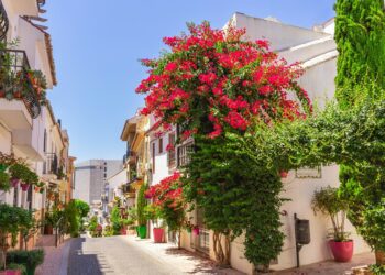 Una de las mayores asociaciones de jardinería en Andalucía reconoce a Estepona por la protección y puesta en valor de sus espacios verdes
