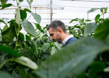 La Junta amplía un mes el plazo para solicitar las ayudas para jóvenes agricultores por 130 millones