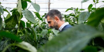La Junta amplía un mes el plazo para solicitar las ayudas para jóvenes agricultores por 130 millones