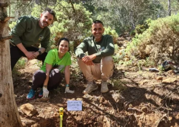 Los incendios que afectaron a Sierra Bermeja quedan registrados en un historial científico