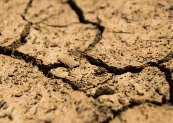 La Junta concede 8 millones de euros a 30 entidades para desarrollar 23 proyectos con soluciones al problema de la sequía