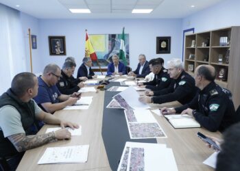 Un dispositivo especial de 170 efectivos de distintos cuerpos reforzará la seguridad de Marbella en Navidad