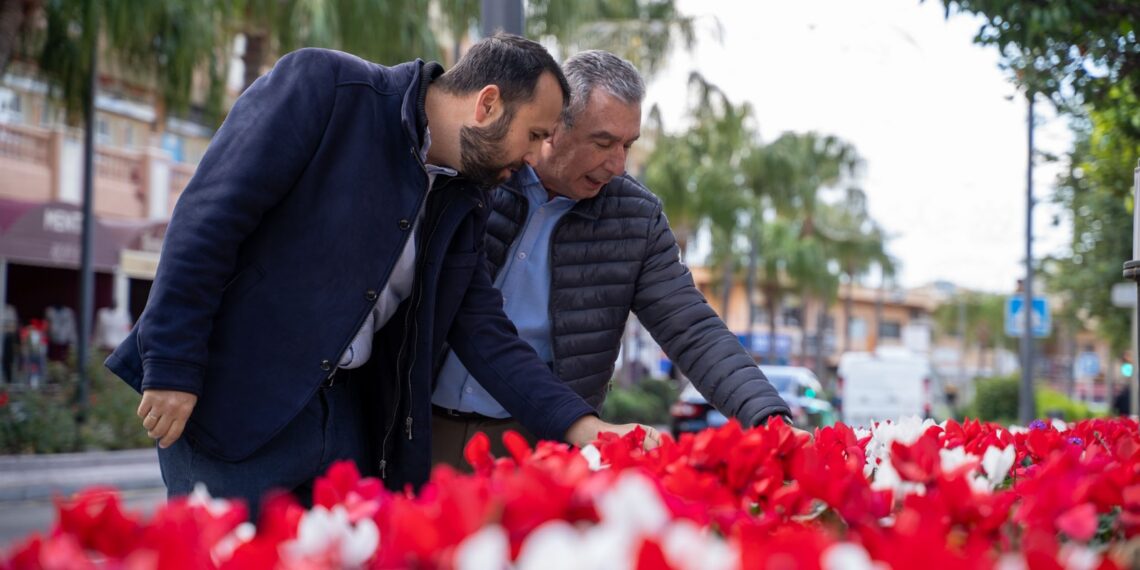 Benalmádena engalana sus emblemáticas calles de la Costa, Arroyo y el Pueblo con la plantación de más de medio millar de pascueros y 13.500 ciclámenes