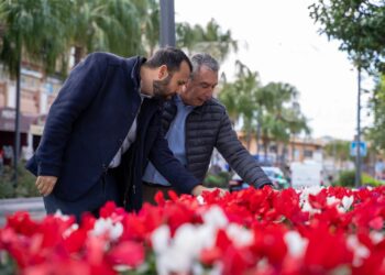 Benalmádena engalana sus emblemáticas calles de la Costa, Arroyo y el Pueblo con la plantación de más de medio millar de pascueros y 13.500 ciclámenes