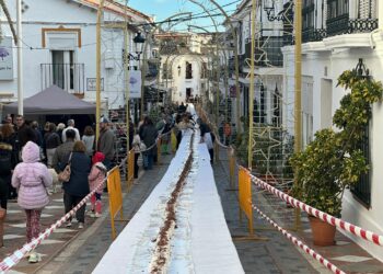 El tronco de navidad más grande de Andalucía está en Benalmádena: 118 metros y un fin solidario