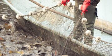 Junta lamenta una «nueva vuelta de tuerca» para el arrastre del Mediterráneo y pide activar mecanismos de compensación