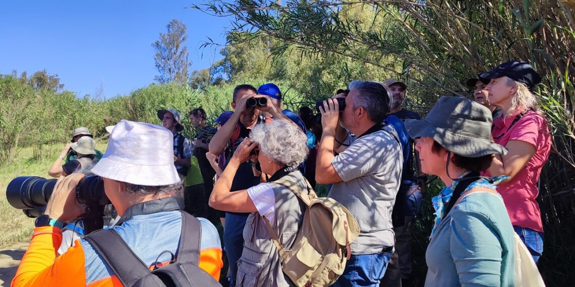 La provincia de Málaga, un lugar clave en Europa para avistar 300 especies de aves