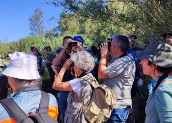 La provincia de Málaga, un lugar clave en Europa para avistar 300 especies de aves