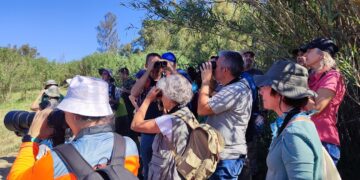 La provincia de Málaga, un lugar clave en Europa para avistar 300 especies de aves