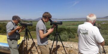 16 rutas en Málaga para observar más de 300 especies de aves a lo largo del año.