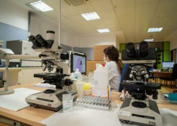 Diseñan en Andalucía un sistema basado en IA para mejorar el rendimiento de plantas solares