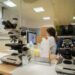 Diseñan en Andalucía un sistema basado en IA para mejorar el rendimiento de plantas solares