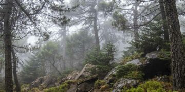 Se disuelve el equipo científico-técnico de la Plataforma Sierra Bermeja Parque Nacional