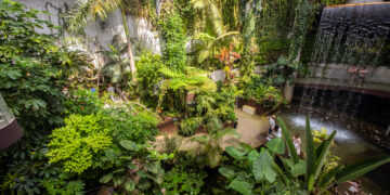 El Parque Botánico-Orquidario alcanza la mayor cifra de visitas desde su apertura con más de 54.000 entradas en un año