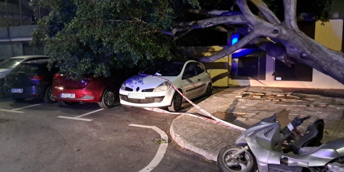 Rachas de viento de hasta 75km/h provocan multitud de incidencias en Benalmádena y Torremolinos