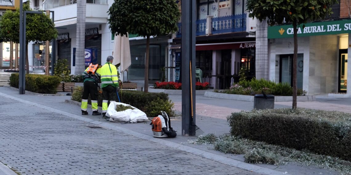 Nueva campaña de poda en la zona arbustiva de la calle Marqués del Duero de San Pedro Alcántara