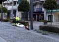 Nueva campaña de poda en la zona arbustiva de la calle Marqués del Duero de San Pedro Alcántara