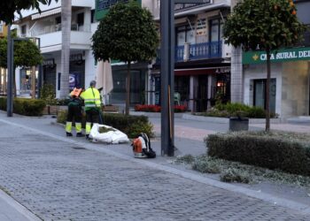 Nueva campaña de poda en la zona arbustiva de la calle Marqués del Duero de San Pedro Alcántara