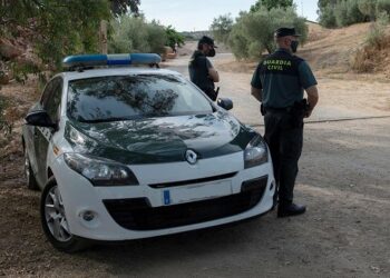 Málaga registra 1.573 infracciones contra medio ambiente: siete detenidos y 223 investigados hasta diciembre