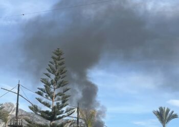 Arde una cuba de escombros en Puerto Banús