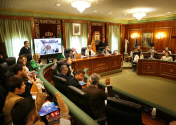 Marbella aprueba la concesión de Medalla de la Ciudad 2025 a Maté, Ayoub Ghadfa y Elena Benítez