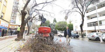 El Plan de Poda de San Pedro Alcántara actuará este año en 1.600 ejemplares de su parque urbano forestal