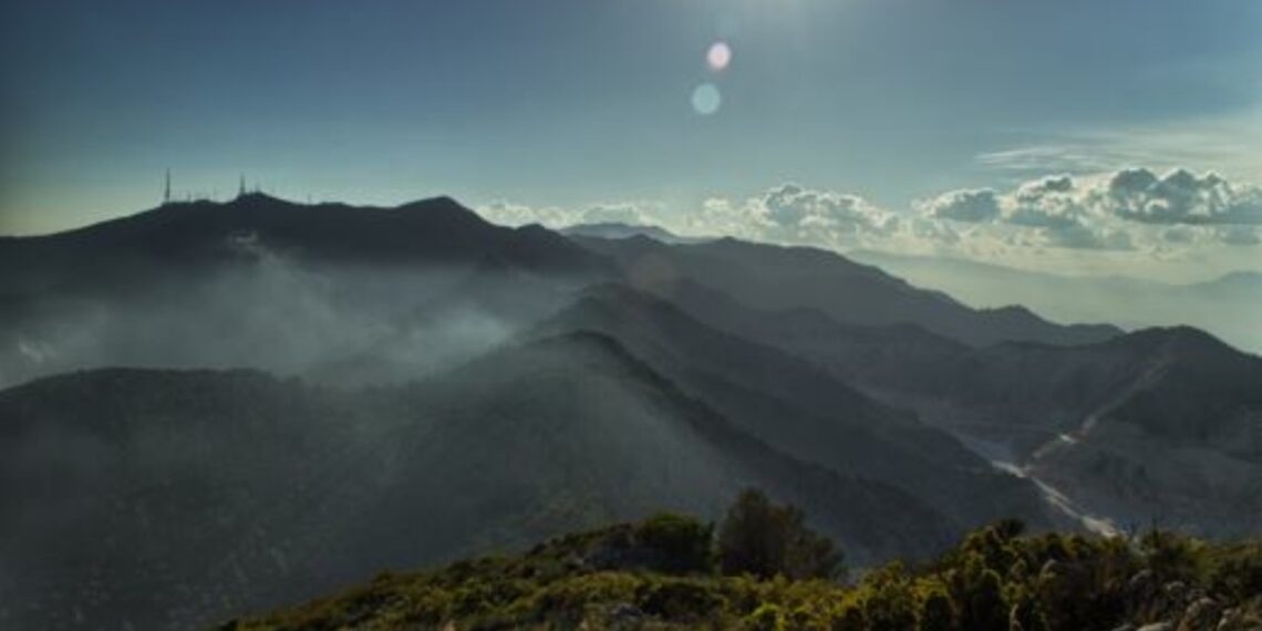 Reforestación de la Sierra de Mijas, eventos musicales y mucho deporte para empezar 2025: los mejores planes para estos días