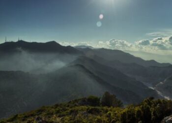 Reforestación de la Sierra de Mijas, eventos musicales y mucho deporte para empezar 2025: los mejores planes para estos días