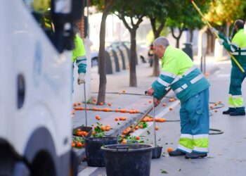 El Ayuntamiento desarrolla un plan de retirada de naranjas, que se encuentra ya en torno al 30 por ciento de su ejecución