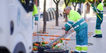 El Ayuntamiento desarrolla un plan de retirada de naranjas, que se encuentra ya en torno al 30 por ciento de su ejecución