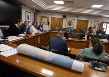 Benalmádena acoge el Consejo Sectorial de Vivienda para abordar la situación con todos los agentes implicados