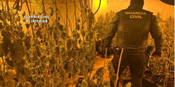 Siete detenidos al desmantelar una plantación de cultivo de marihuana dentro de una finca de Cártama