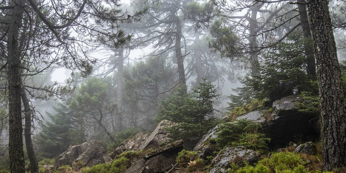 Llega una nueva borrasca que traerá lluvias a Manilva, Estepona y Marbella este jueves