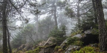 Llega una nueva borrasca que traerá lluvias a Manilva, Estepona y Marbella este jueves