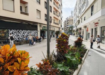 El Ayuntamiento de Estepona autoriza cerca de 400 licencias para nuevos establecimientos en los dos últimos años